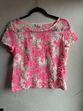 Meadow Rue Sheer Embroidered Festival Top Pink Floral Mesh Coquette Y2K Sz 8 M